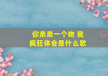 你亲亲一个吻 我疯狂体会是什么歌